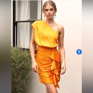 Greylin Ariel Draped One Shoulder Mini Dress